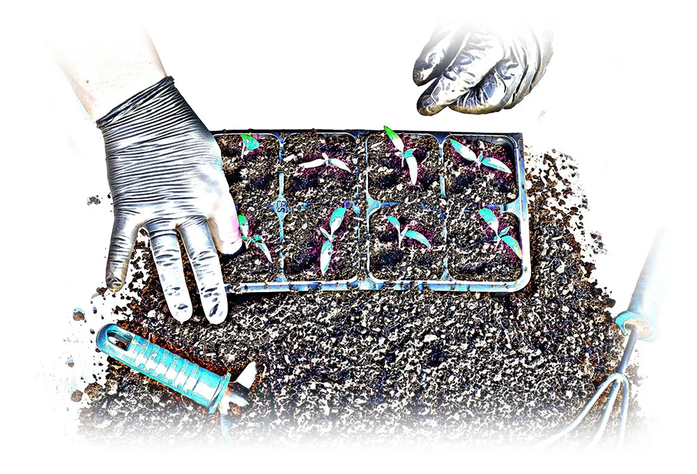 Use-your-compost-Eco-Pick