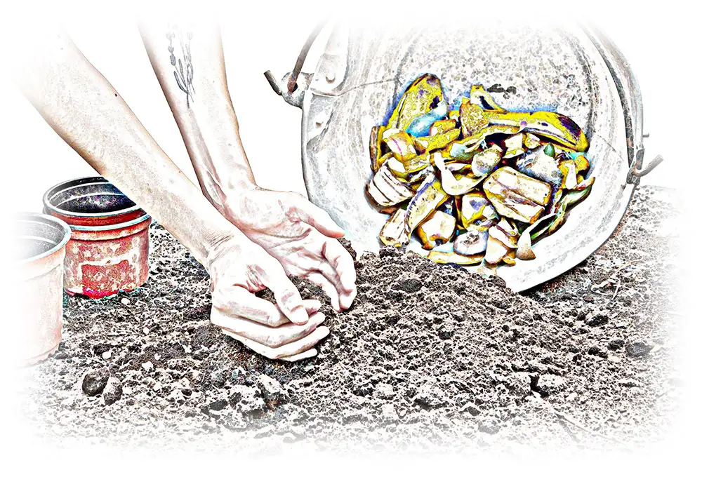Why-compost-Eco-Pick